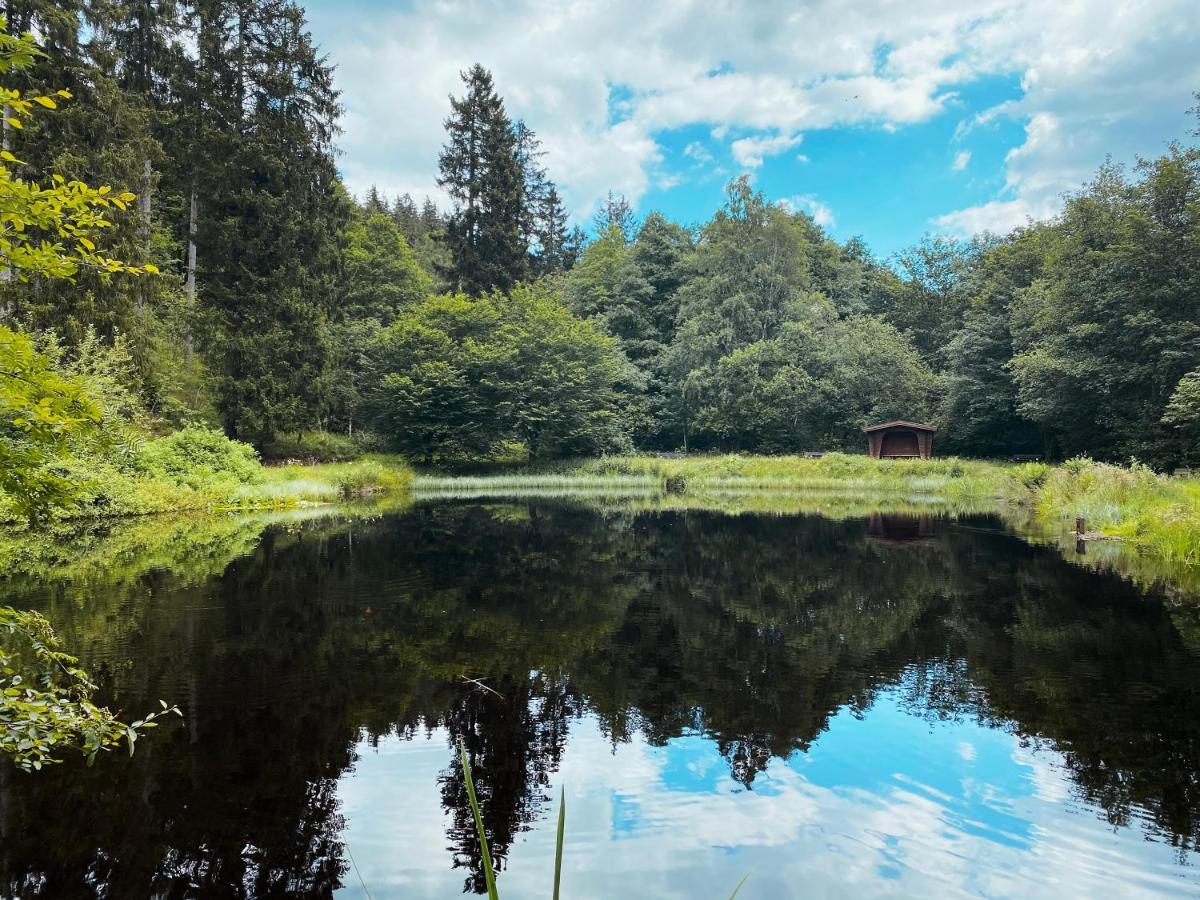 B&B Am Oker, Altenau, Harz Altenau  Εξωτερικό φωτογραφία